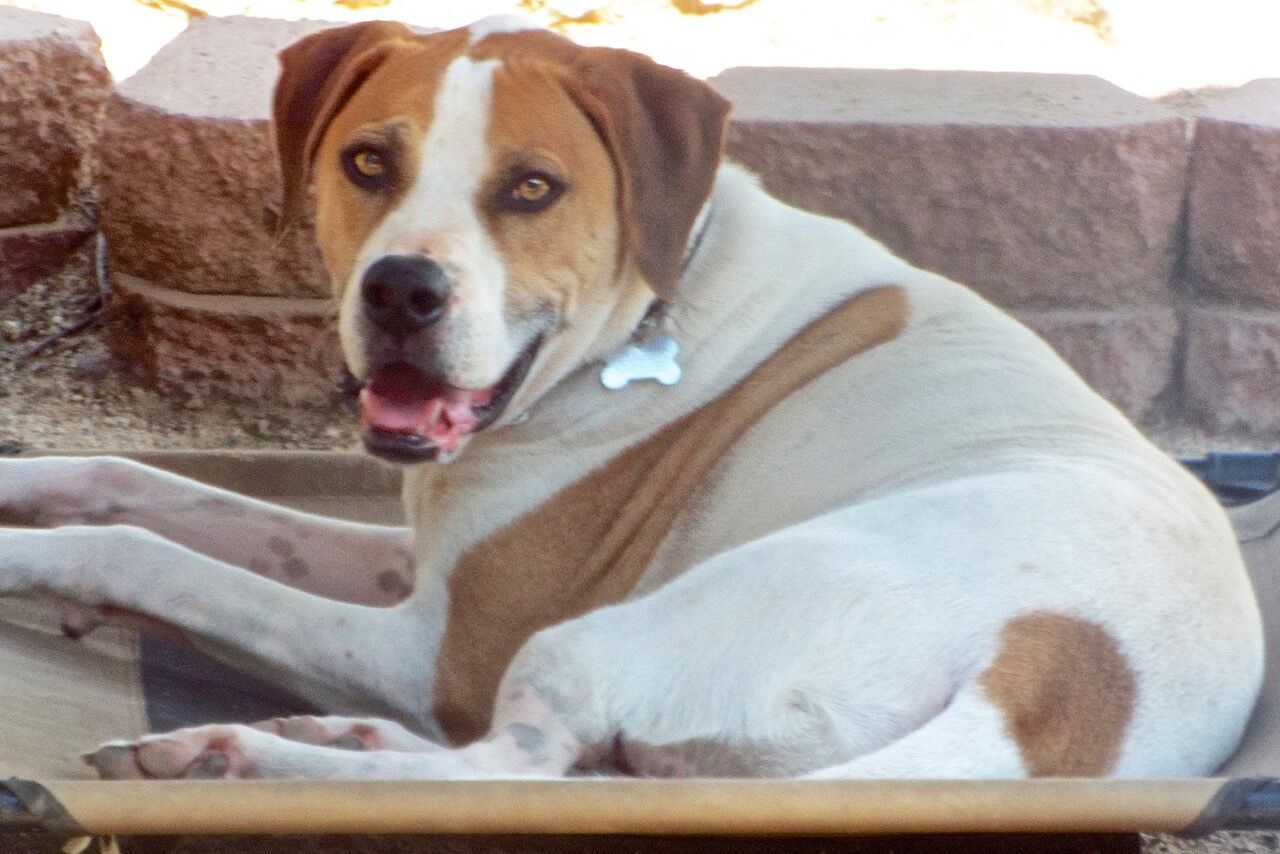 Max